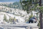Filename=2018_Jeepers_Jamboree_2822_of_9729.jpg
Filesize=872KiB
Dimensions=1600x1067
Date added=Aug 02, 2018 2018_Jeepers_Jamboree_2822_of_9729.jpg