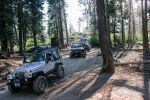 Filename=2018_Jeepers_Jamboree_2835_of_9729.jpg
Filesize=965KiB
Dimensions=1600x1067
Date added=Aug 02, 2018 2018_Jeepers_Jamboree_2835_of_9729.jpg